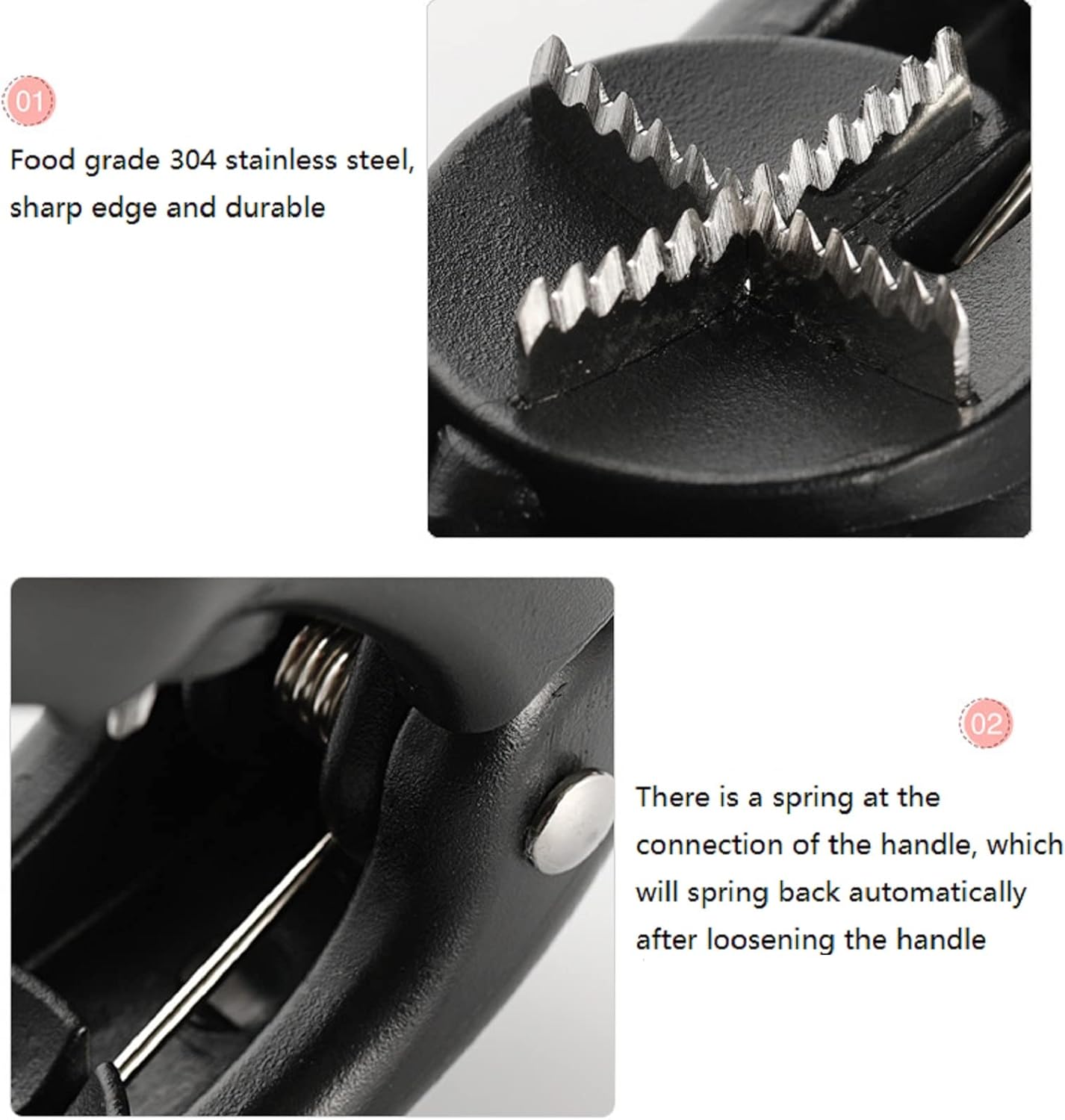 Chestnut and Walnut Opener